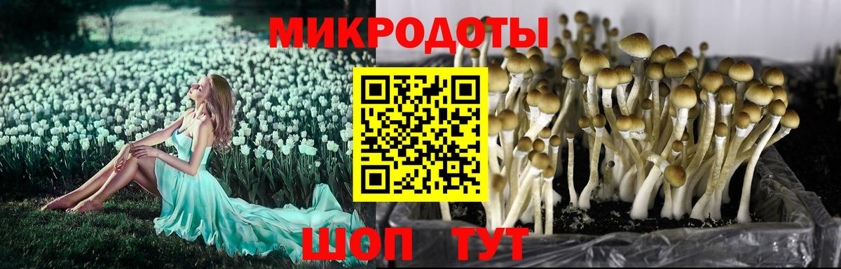 Галлюциногенные грибы Magic Shrooms  Вход с VPN  наркошоп  Калининград 